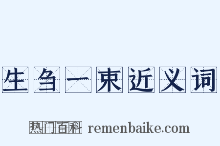 生刍一束近义词是什么意思的图片